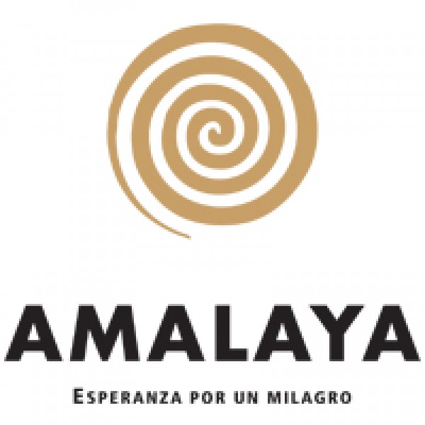 Bodega Amalaya