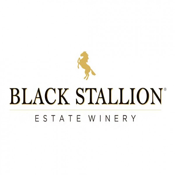 Black Stallion Borok