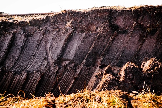 Islay whisky előállítás tőzeg füstöléssel