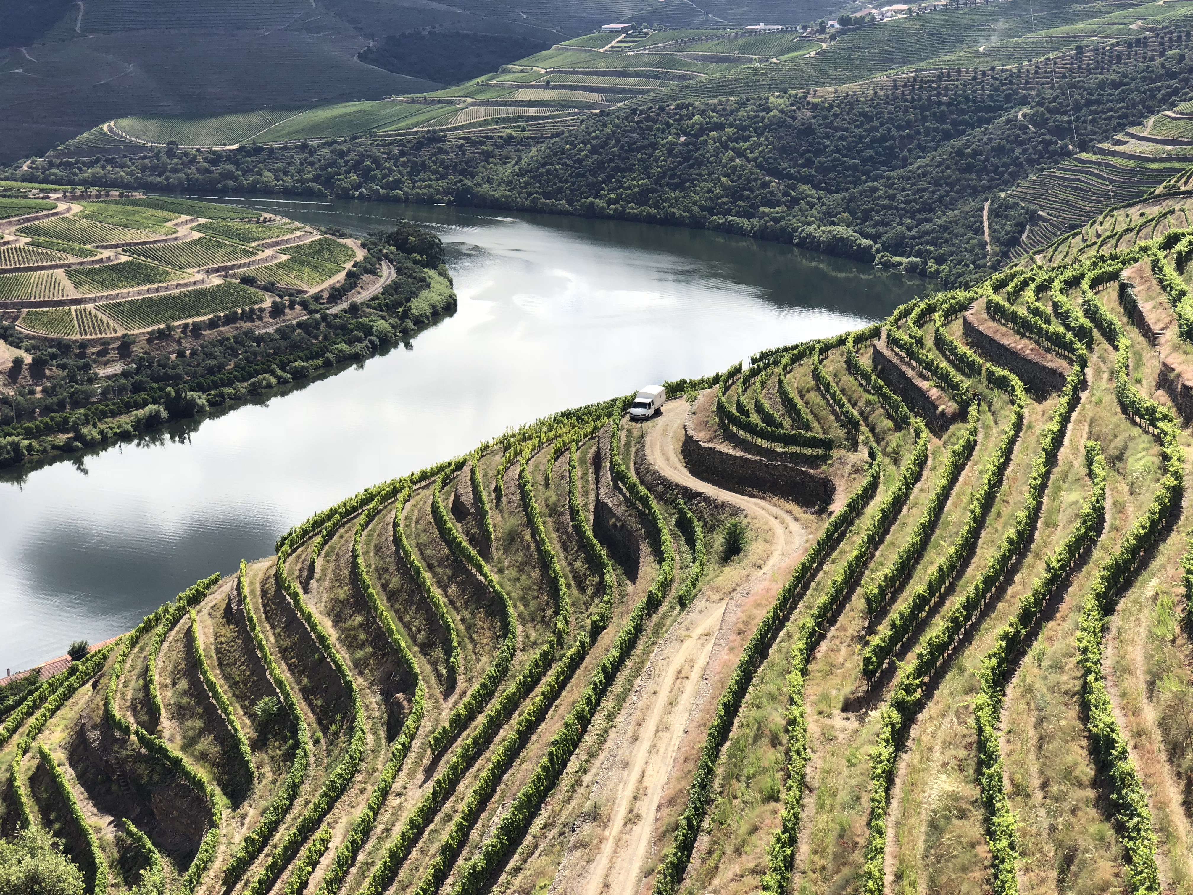 Portugália Douro teraszai