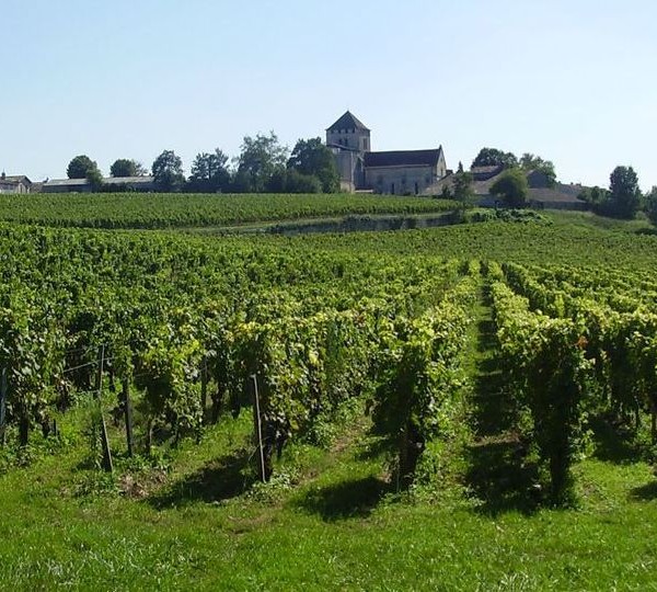 Chateau Haut-Beauséjour Borok