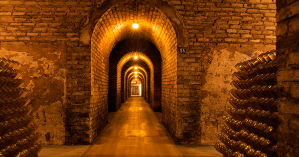 Louis Roederer Borok