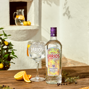 Larios Dry Gin 0,7l