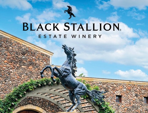 Black Stallion Estate Winery - Az év amerikai borászata 2023
