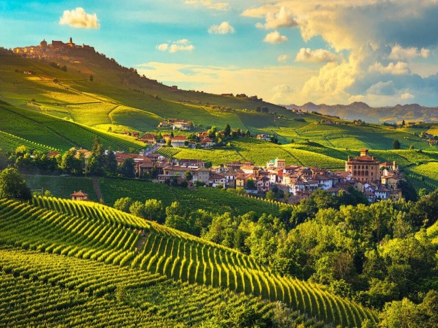 Melyek a legjobb itáliai borok, borvidékek?