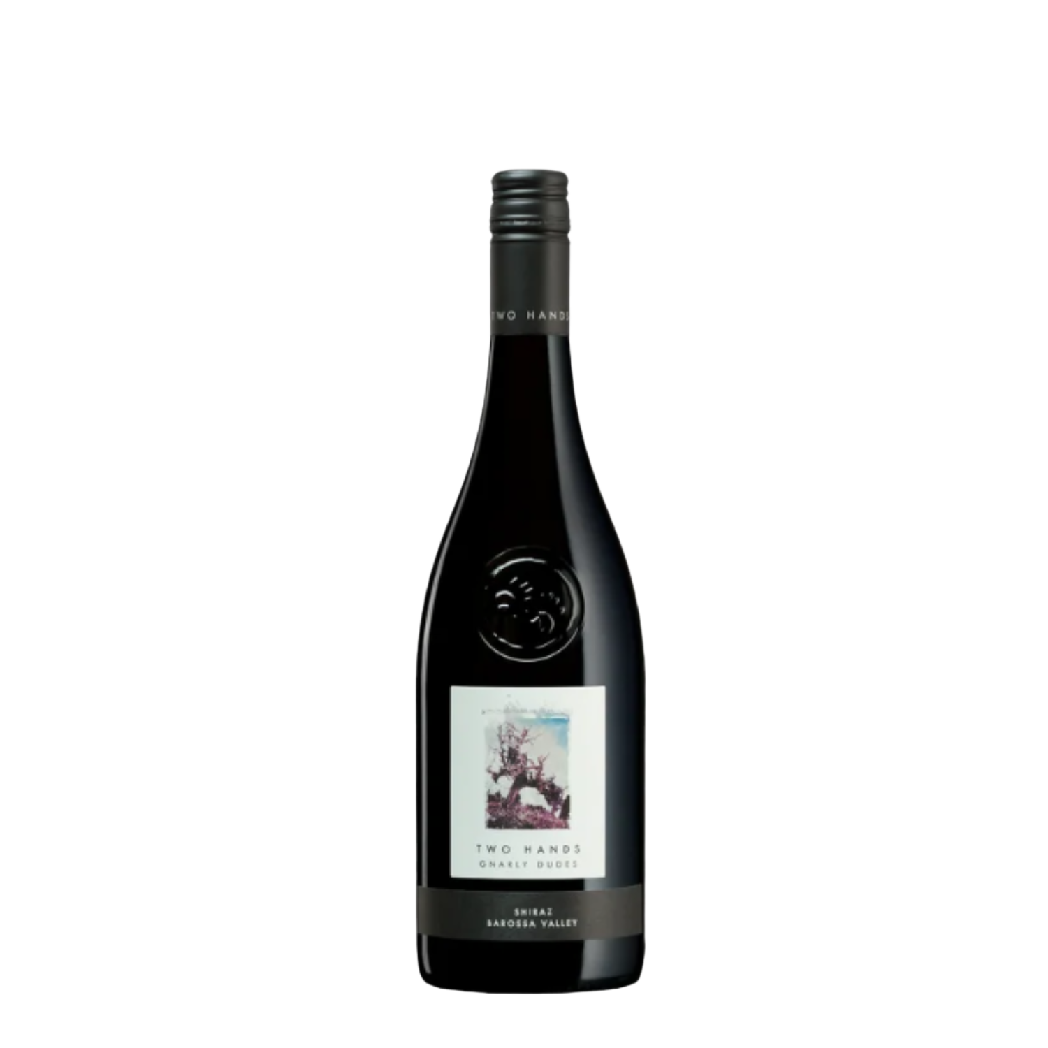 Two Hands Gnarly Dudes Barossa V. Shiraz (0.75l) 12% [2021]