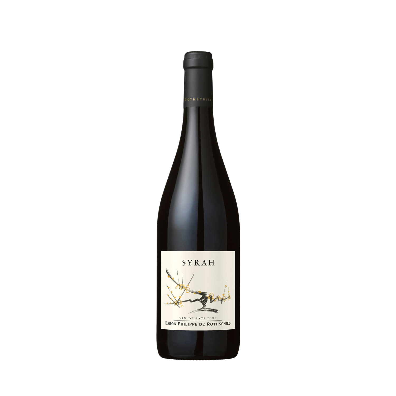 Cadet d'Oc Syrah (0.75l) 12% [2021]
