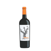 Brazin Old Vine Zinfandel (0,75l) 15% [2023]