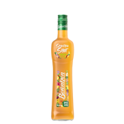 Berentzen Tropical Flirt (0.5l) 15%